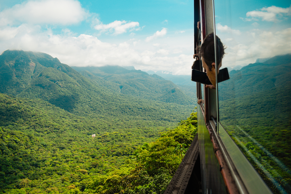 Turista olhando pela janela do trem durante o passeio pela Serra do Mar paranaense, com vista panorâmica da Mata Atlântica e montanhas.