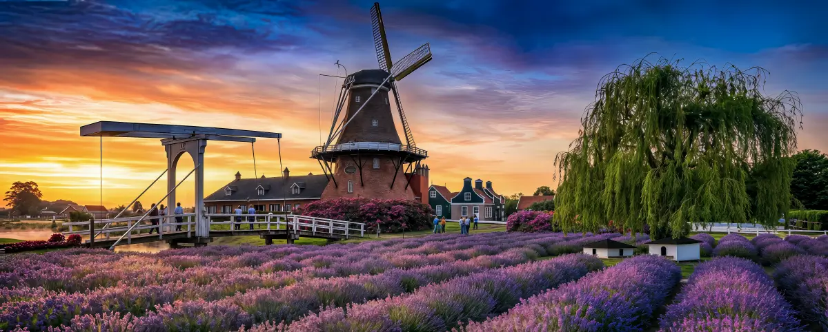Pôr do sol no Moinho da Castrolanda, cercado por campos de flores, representando a arquitetura das colônias holandesas no Paraná.